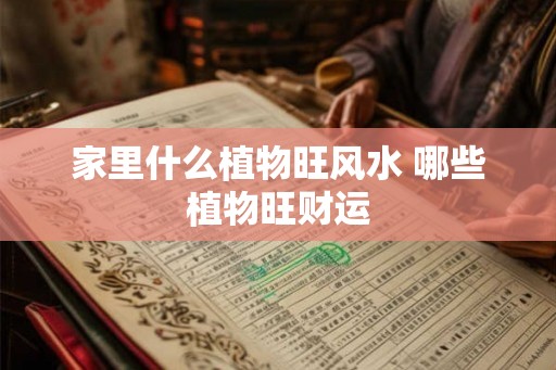 家里什么植物旺风水 哪些植物旺财运