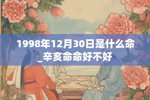 1998年12月30日是什么命_辛亥命命好不好 1998年12月30日是什么命_辛亥命命好不好