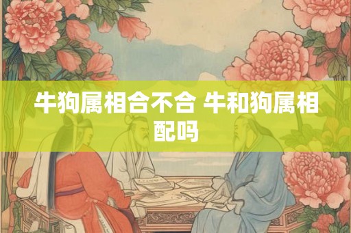 牛狗属相合不合 牛和狗属相配吗