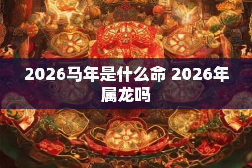 2026马年是什么命 2026年属龙吗 2026马年是什么命 2026年属龙吗