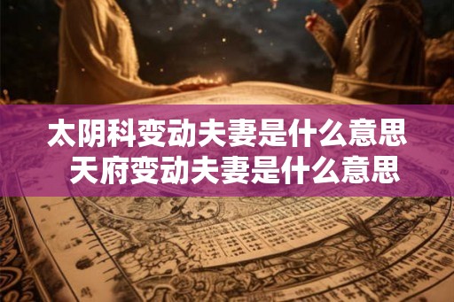 太阴科变动夫妻是什么意思  天府变动夫妻是什么意思
