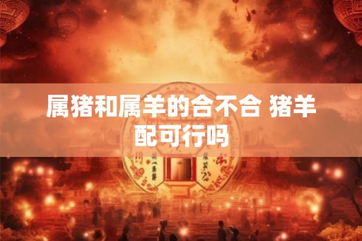 属猪和属羊的合不合 猪羊配可行吗