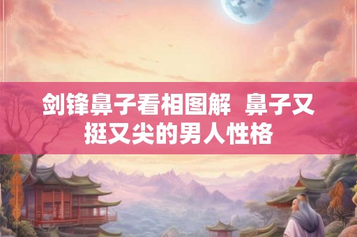 剑锋鼻子看相图解  鼻子又挺又尖的男人性格