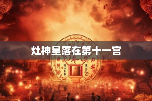 灶神星落在第十一宫