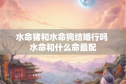 水命猪和水命狗结婚行吗 水命和什么命最配