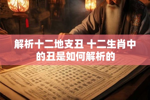 解析十二地支丑 十二生肖中的丑是如何解析的