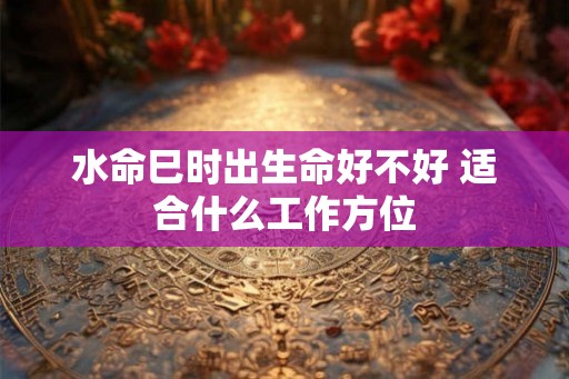水命巳时出生命好不好 适合什么工作方位 水命巳时出生命好不好 适合什么工作方位