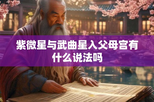 紫微星与武曲星入父母宫有什么说法吗
