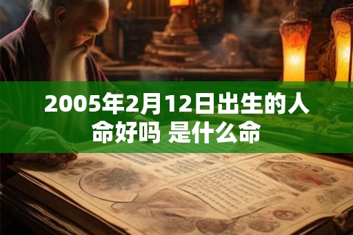 2005年2月12日出生的人命好吗 是什么命