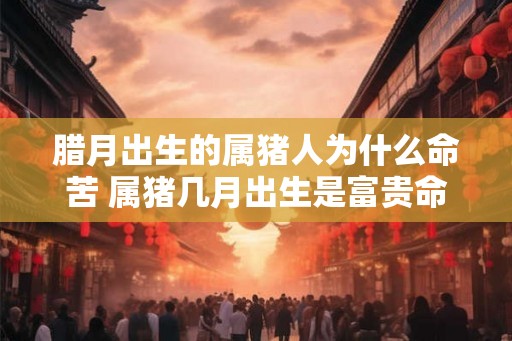腊月出生的属猪人为什么命苦 属猪几月出生是富贵命