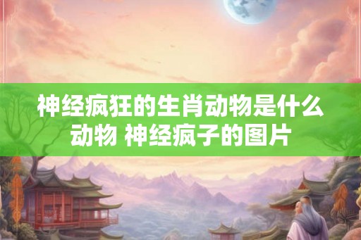 神经疯狂的生肖动物是什么动物 神经疯子的图片