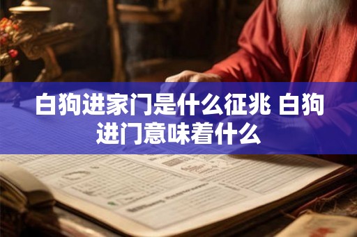 白狗进家门是什么征兆 白狗进门意味着什么 白狗进家门是什么征兆 白狗进门意味着什么