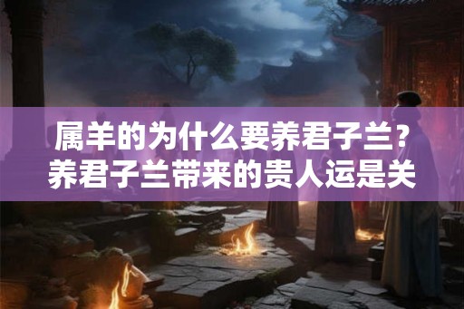 属羊的为什么要养君子兰？养君子兰带来的贵人运是关键！