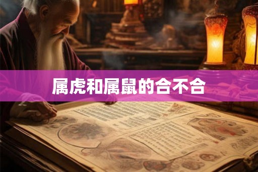 属虎和属鼠的合不合