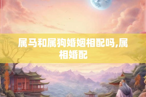 属马和属狗婚姻相配吗,属相婚配