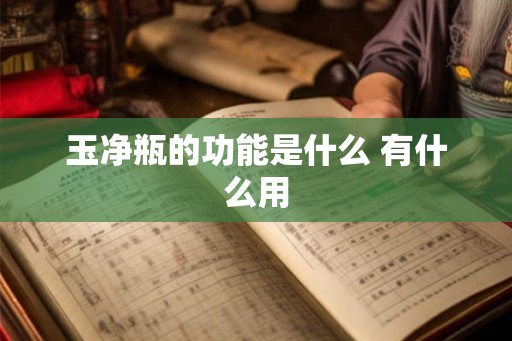 玉净瓶的功能是什么 有什么用
