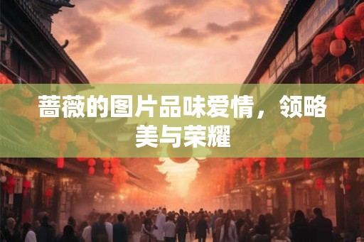 蔷薇的图片品味爱情，领略美与荣耀