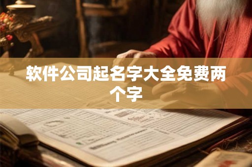 软件公司起名字大全免费两个字