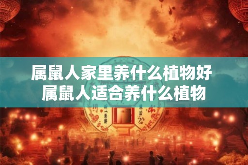 属鼠人家里养什么植物好 属鼠人适合养什么植物 属鼠人家里养什么植物好 属鼠人适合养什么植物