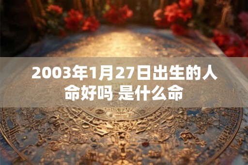 2003年1月27日出生的人命好吗 是什么命