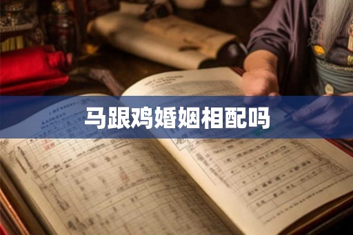 马跟鸡婚姻相配吗