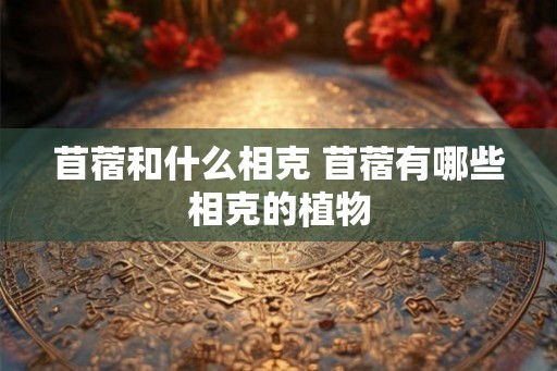 苜蓿和什么相克 苜蓿有哪些相克的植物
