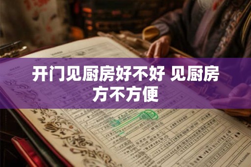 开门见厨房好不好 见厨房方不方便 开门见厨房好不好 见厨房方不方便