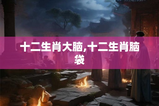 十二生肖大脑,十二生肖脑袋
