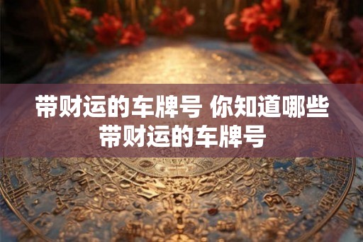 带财运的车牌号 你知道哪些带财运的车牌号