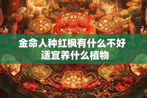金命人种红枫有什么不好  适宜养什么植物