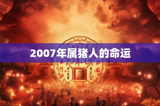 2007年属猪人的命运