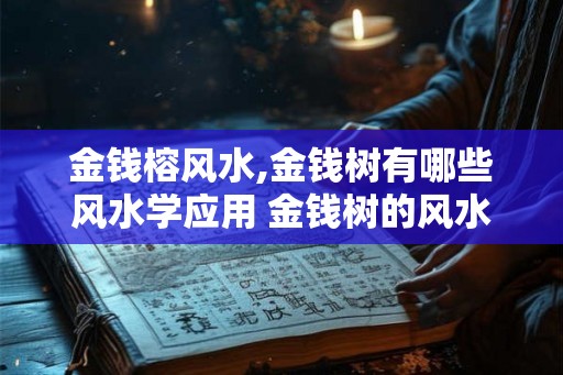 金钱榕风水,金钱树有哪些风水学应用 金钱树的风水学应用