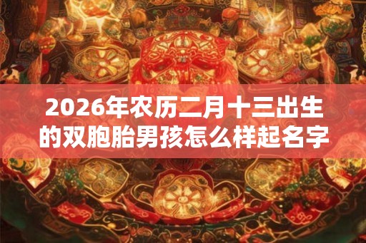 2026年农历二月十三出生的双胞胎男孩怎么样起名字，五行属什么
