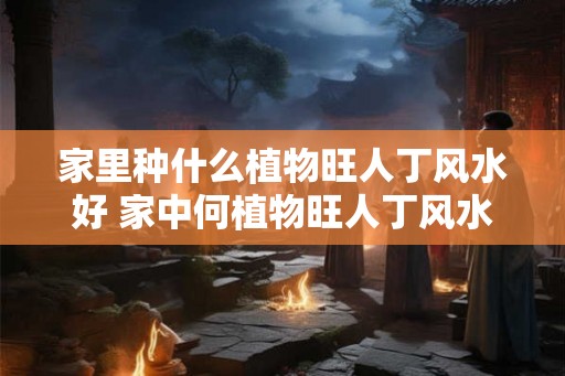 家里种什么植物旺人丁风水好 家中何植物旺人丁风水佳