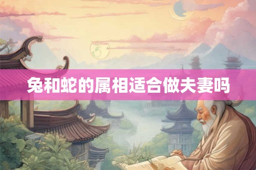 兔和蛇的属相适合做夫妻吗