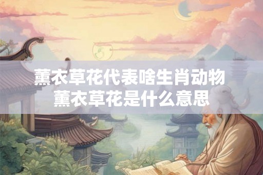 薰衣草花代表啥生肖动物 薰衣草花是什么意思 薰衣草花代表啥生肖动物 薰衣草花是什么意思