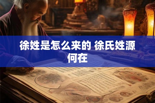 徐姓是怎么来的 徐氏姓源何在 徐姓是怎么来的 徐氏姓源何在