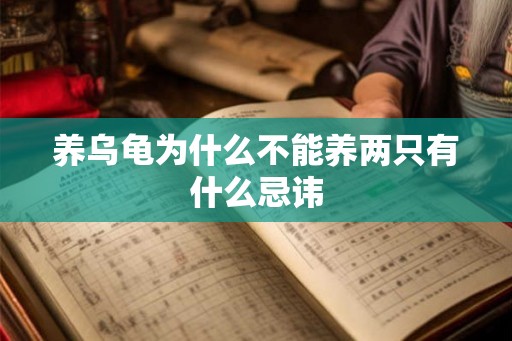 养乌龟为什么不能养两只有什么忌讳