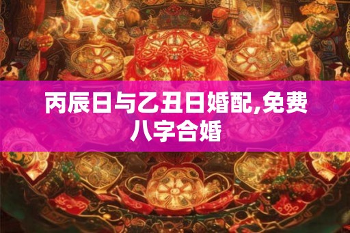 丙辰日与乙丑日婚配,免费八字合婚