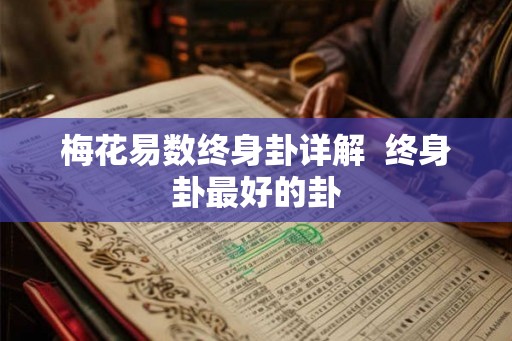 梅花易数终身卦详解  终身卦最好的卦