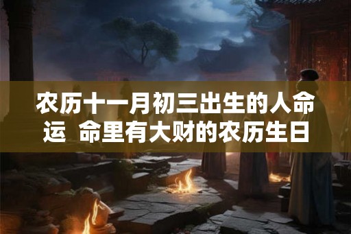 农历十一月初三出生的人命运  命里有大财的农历生日