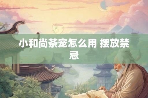 小和尚茶宠怎么用 摆放禁忌
