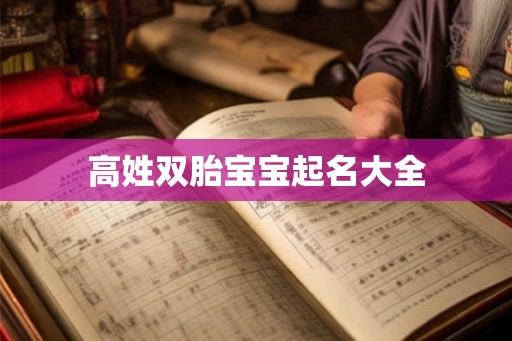 高姓双胎宝宝起名大全