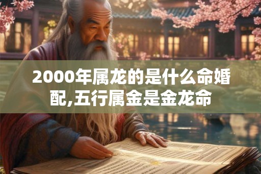 2000年属龙的是什么命婚配,五行属金是金龙命