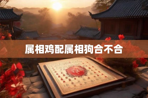 属相鸡配属相狗合不合