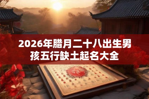 2026年腊月二十八出生男孩五行缺土起名大全