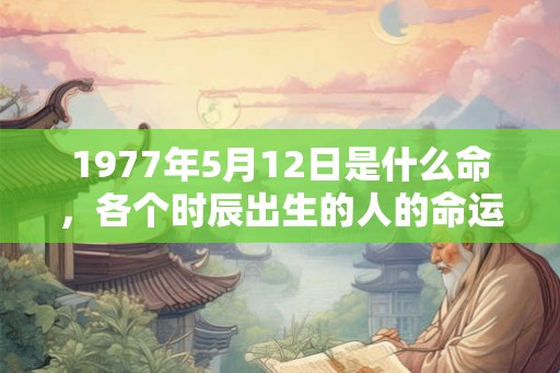 1977年5月12日是什么命，各个时辰出生的人的命运