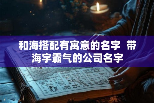 和海搭配有寓意的名字  带海字霸气的公司名字
