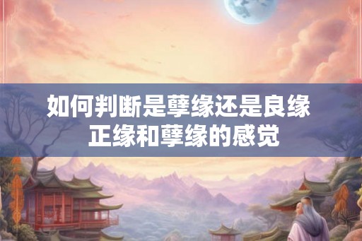 如何判断是孽缘还是良缘  正缘和孽缘的感觉