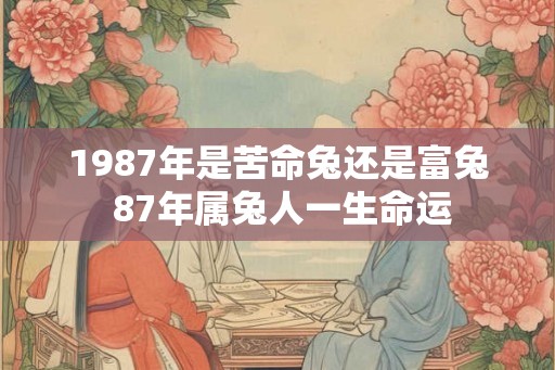1987年是苦命兔还是富兔 87年属兔人一生命运